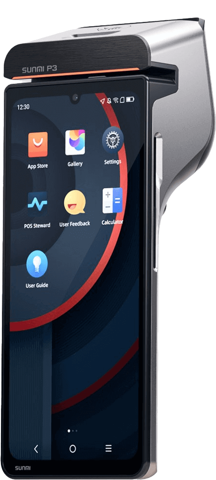 SUNMI P3
